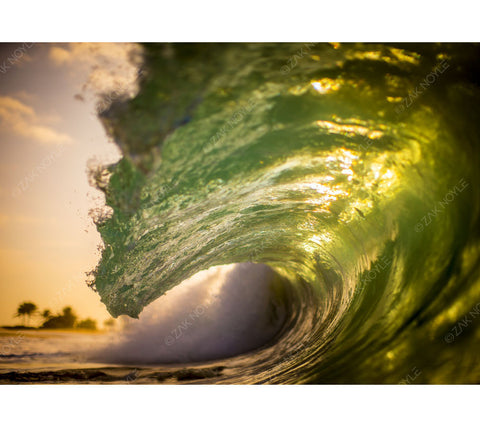 Image of a shore break wave at Sandy Beach in Hawaii 