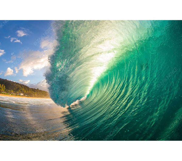 Image of a large wave on the North Shore of Oahu