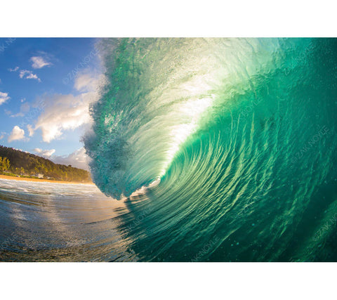 Image of a large wave on the North Shore of Oahu