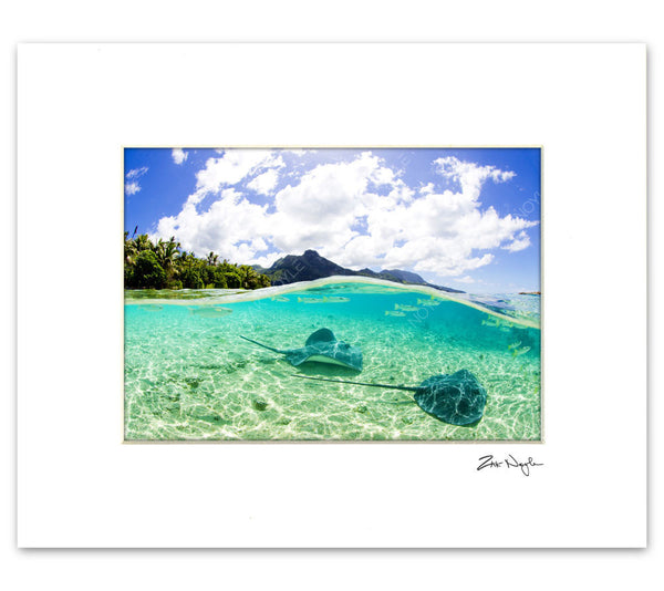 Underwater photo by famous water photographer