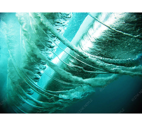 Underwater image by surf photographer Zak Noyle