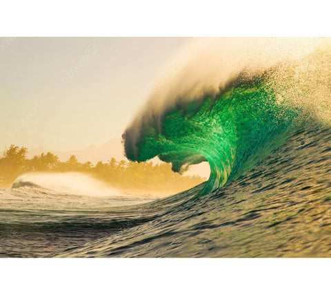 Image of a winter wave on the North Shore of Oahu